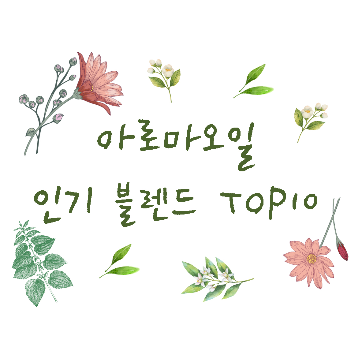 아로마오일(Aroma Oil) 인기 블렌드 Top10