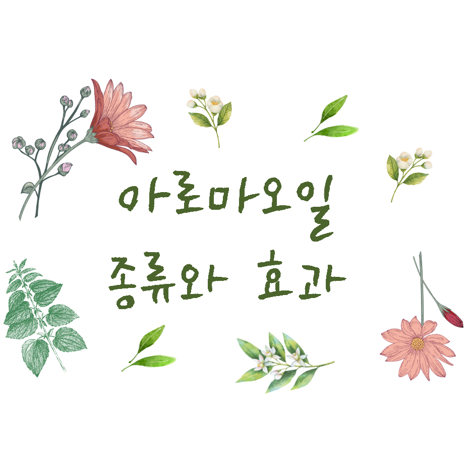 아로마오일 (Aroma oil)의 종류와 효과
