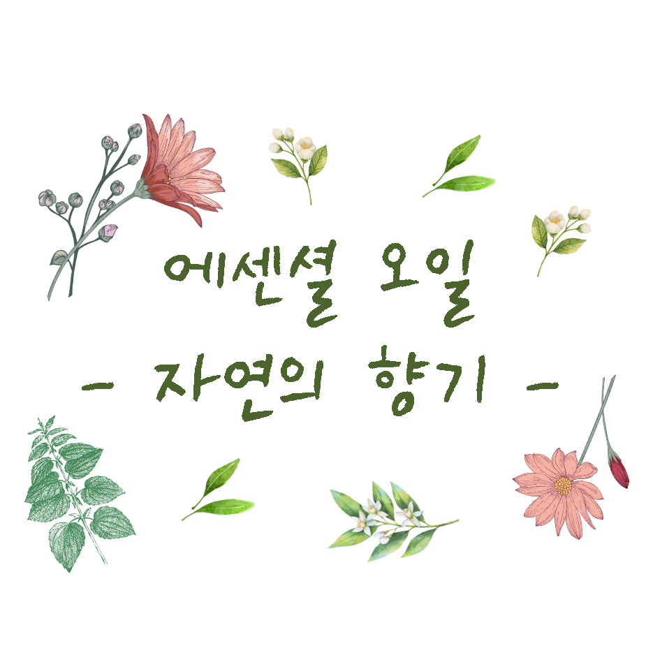 에센셜 오일 - 자연의 향기 -