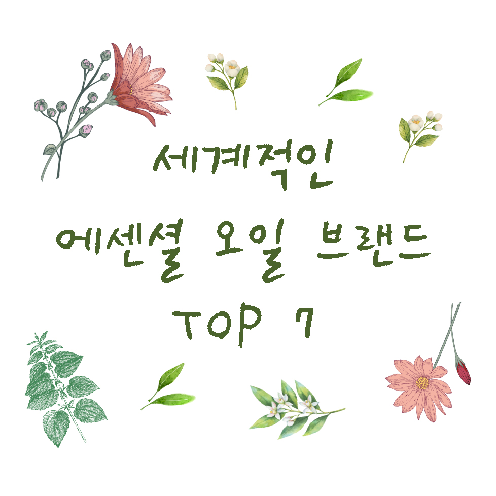 세계적인 에센셜 오일 브랜드 top 7