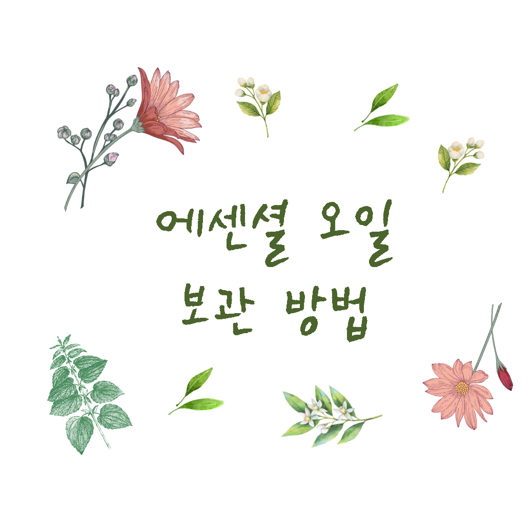 에센셜 오일 보관 방법