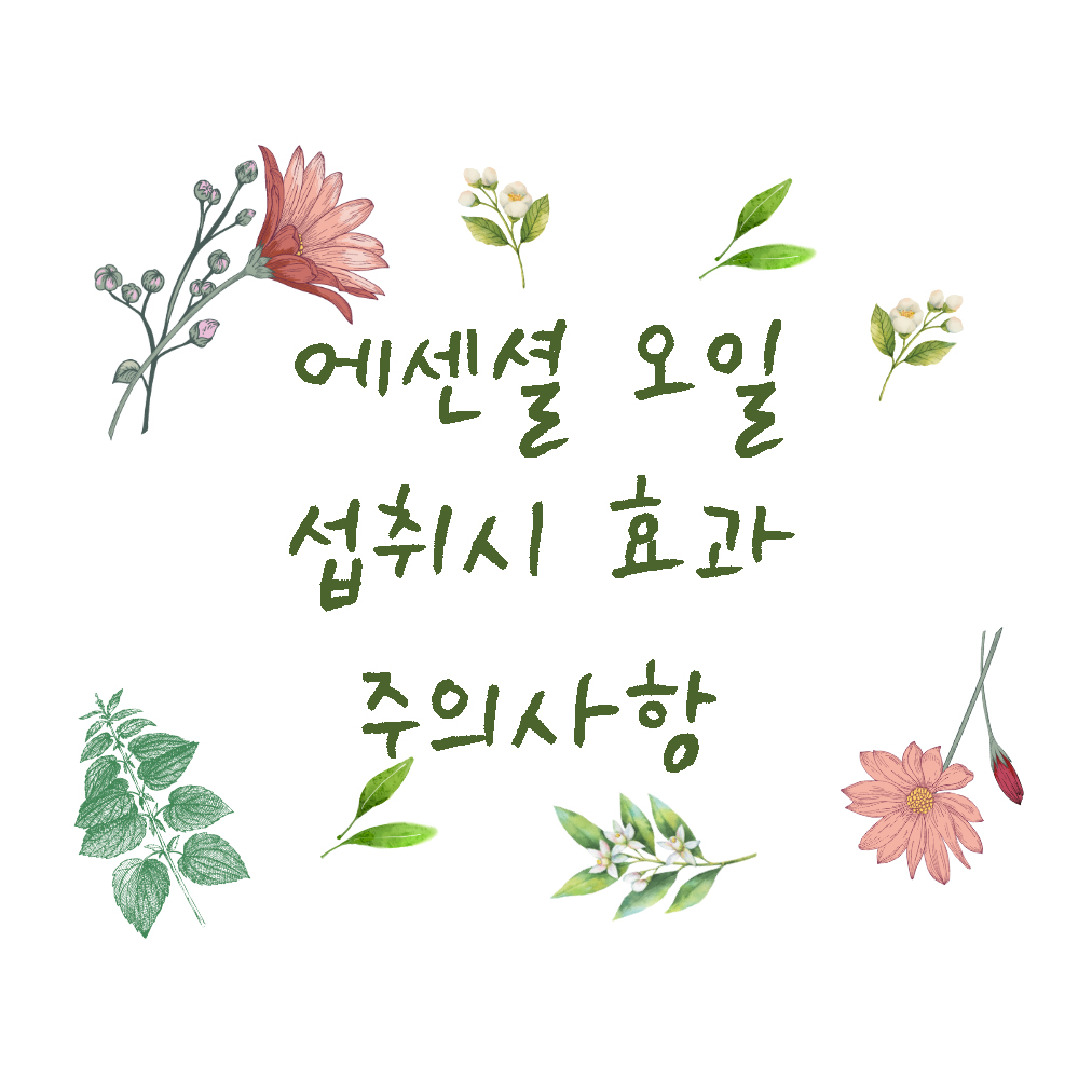 에센셜 오일 섭취시 효과 주의사항