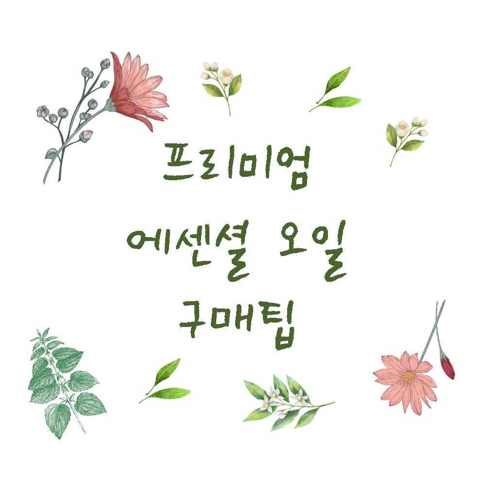 프리미엄 에센셜 오일 구매팁