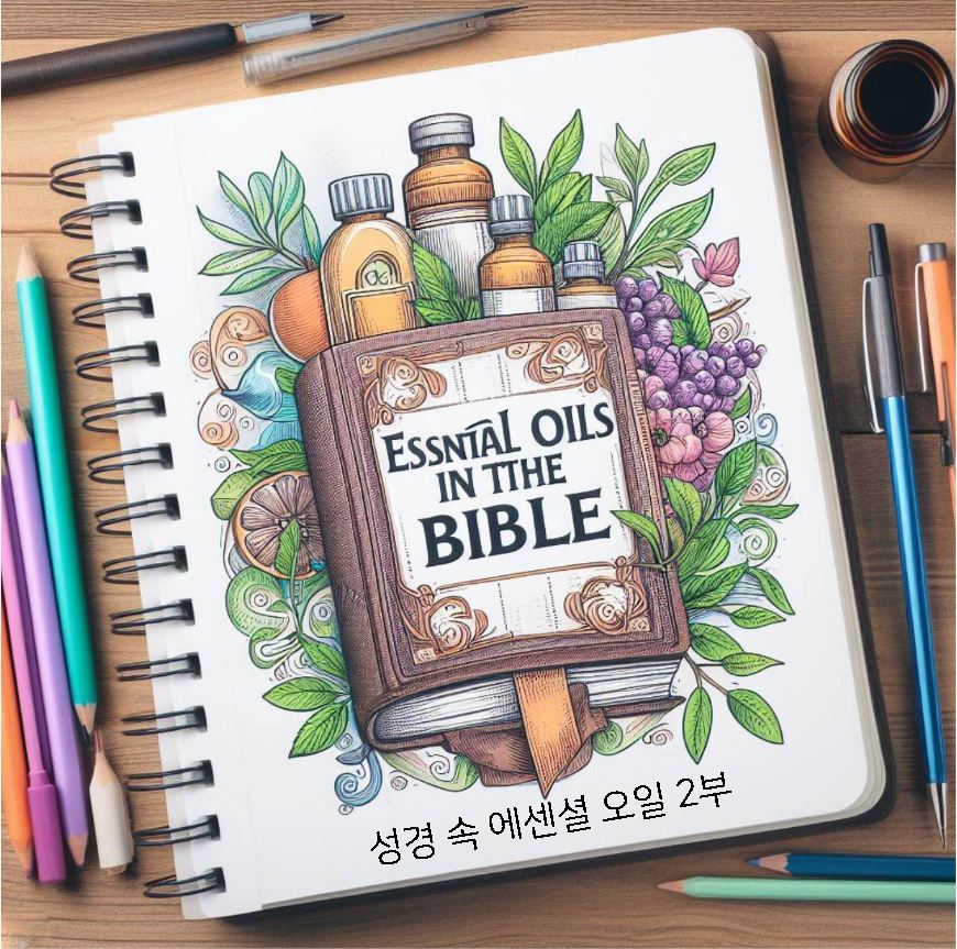 성경속 에센셜 오일 몰약 미르